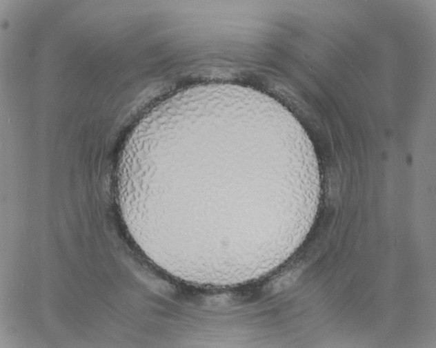 X0000060770309200512082040