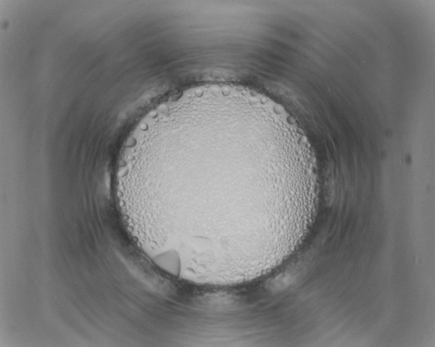 X0000060770310200512082040