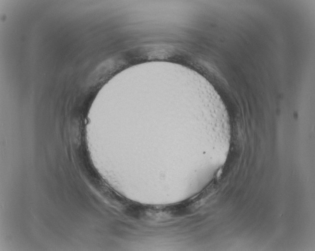 X0000060770311200512082040