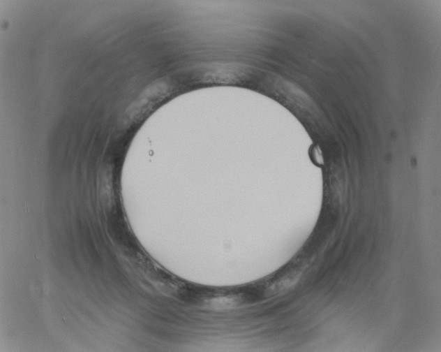 X0000060770312200512082040