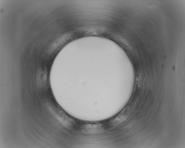 X0000060770314200512082040