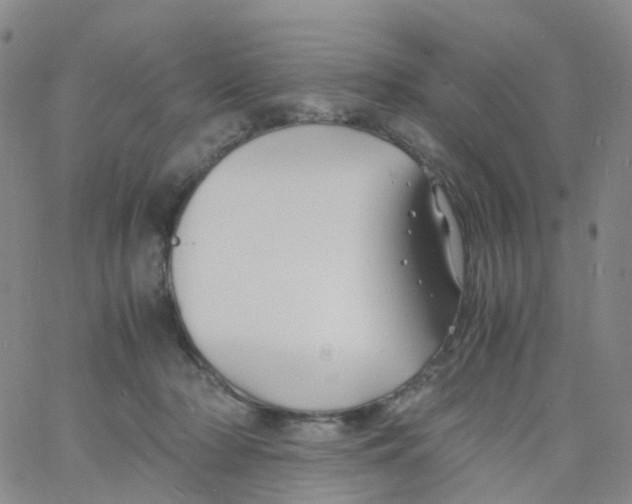 X0000060770318200512082040