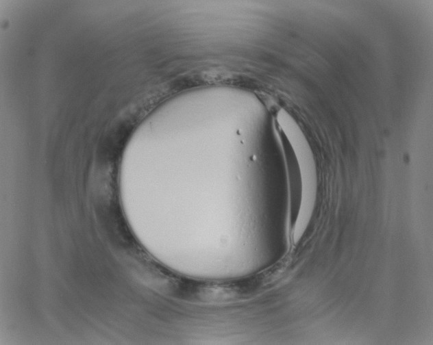 X0000060770319200512082040