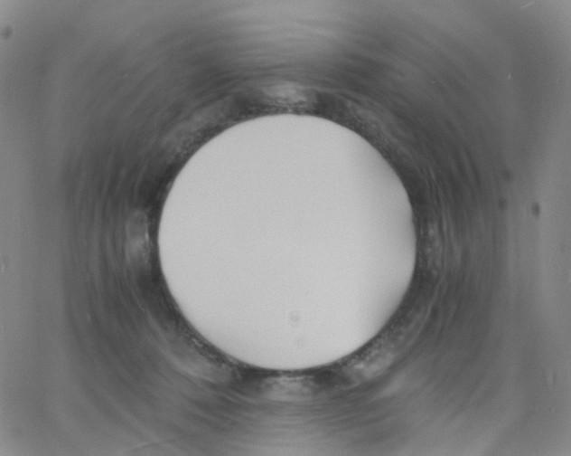 X0000060770320200512082040