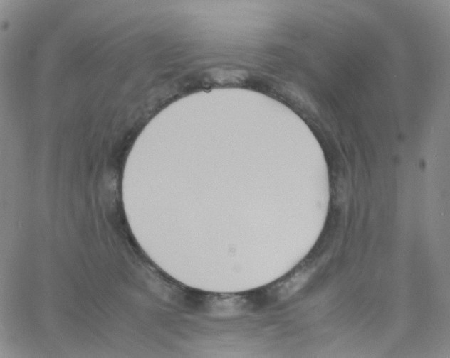 X0000060770321200512082040