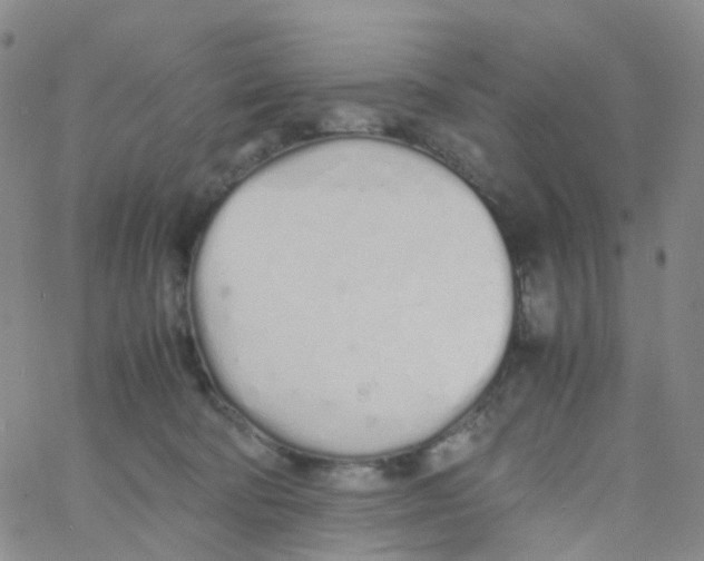 X0000060770322200512082040