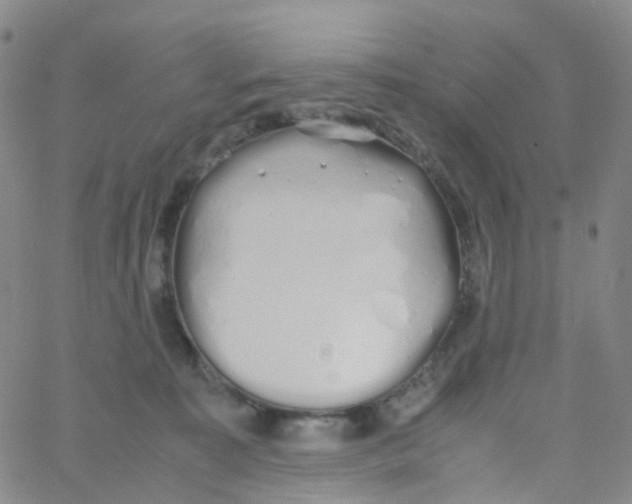 X0000060770323200512082040