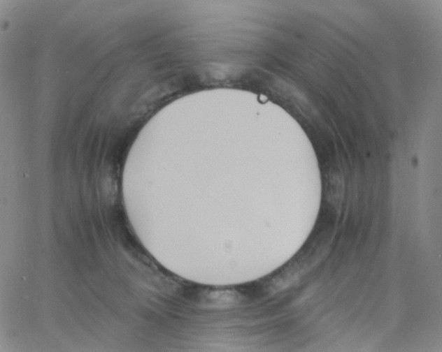 X0000060770324200512082040