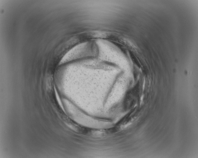 X0000060770325200512082040