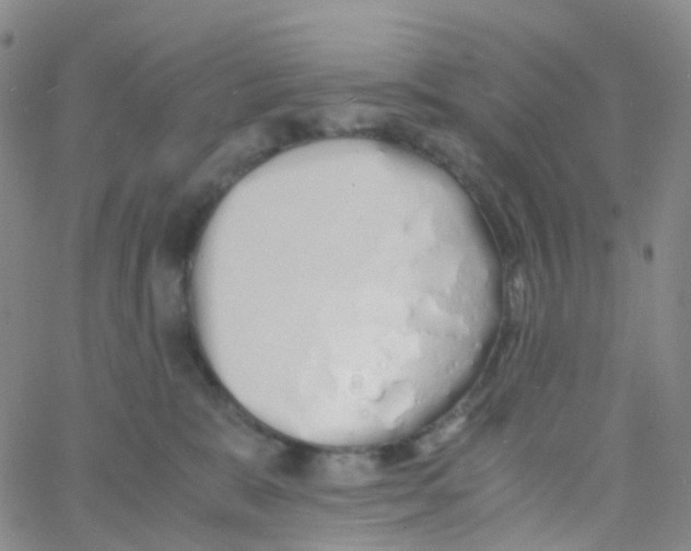 X0000060770327200512082040