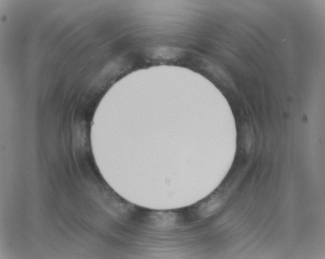 X0000060770328200512082040