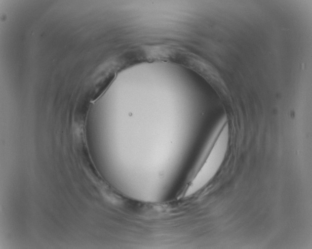 X0000060770329200512082040