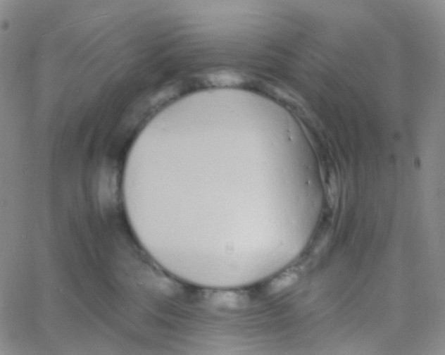 X0000060770330200512082040