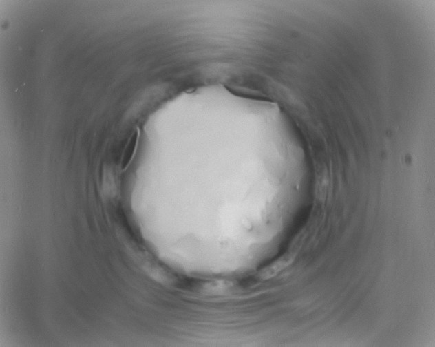 X0000060770335200512082040