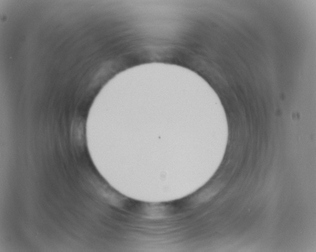 X0000060770336200512082040