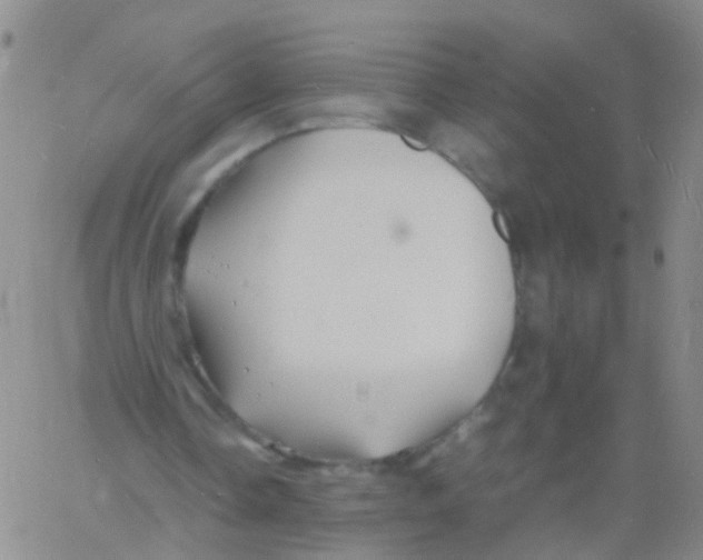 X0000060770338200512082039