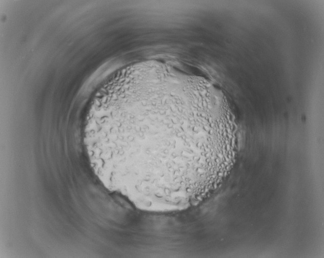 X0000060770339200512082039