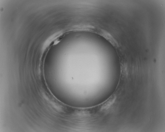 X0000060770340200512082039