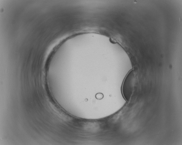 X0000060770342200512082039