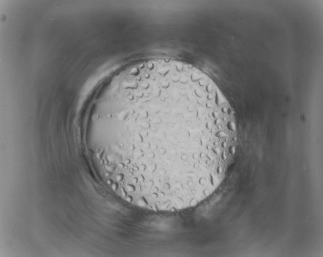 X0000060770343200512082039