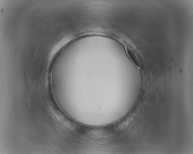 X0000060770344200512082039