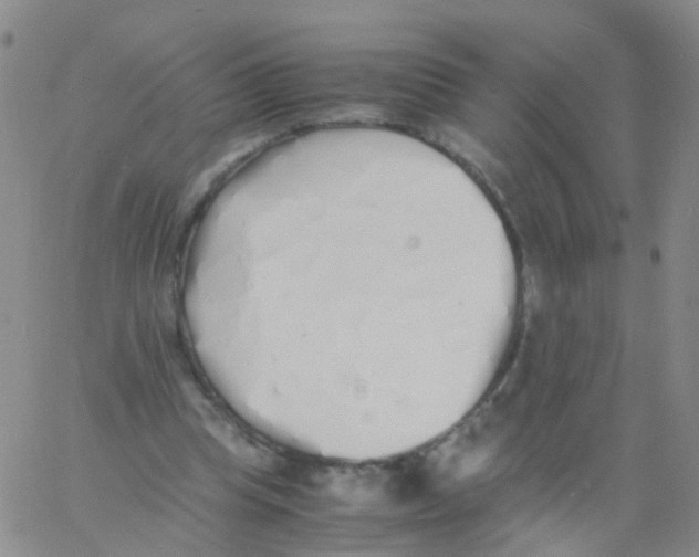 X0000060770345200512082039