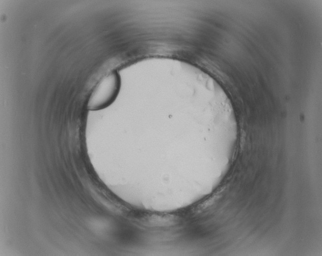 X0000060770346200512082039