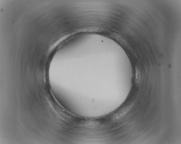 X0000060770348200512082039