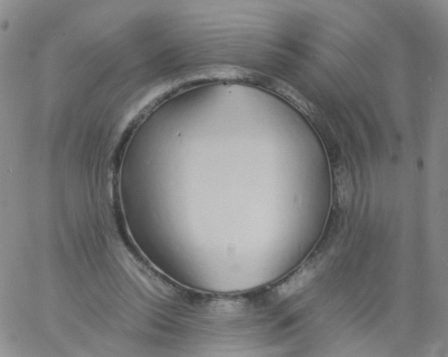 X0000060770350200512082039