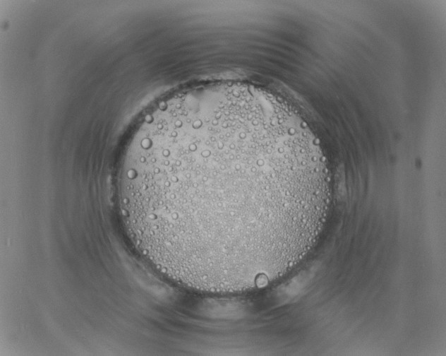 X0000060770351200512082039