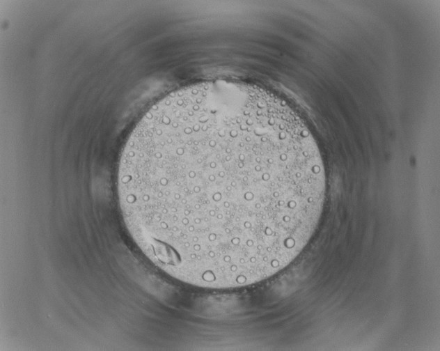 X0000060770353200512082039