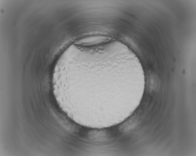 X0000060770354200512082039