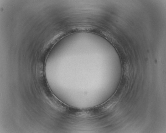 X0000060770356200512082039