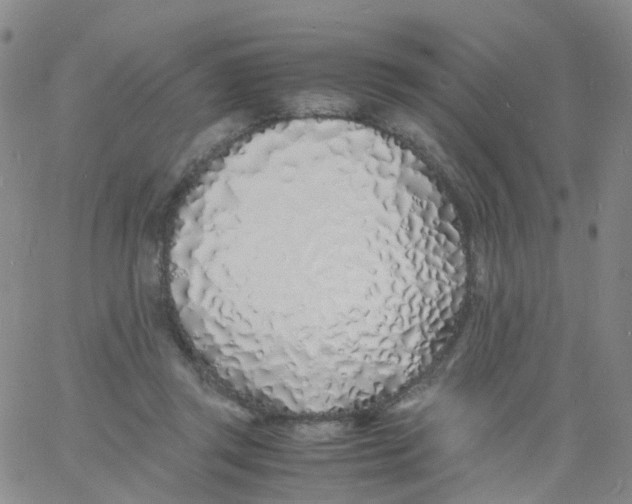 X0000060770357200512082039