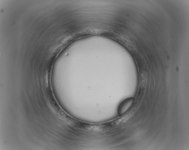 X0000060770358200512082039