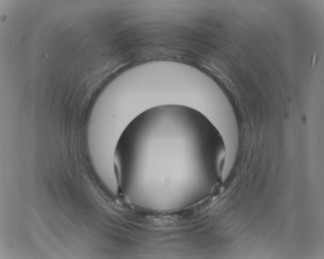 X0000060770359200512082039