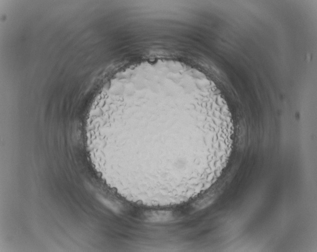 X0000060770361200512082039