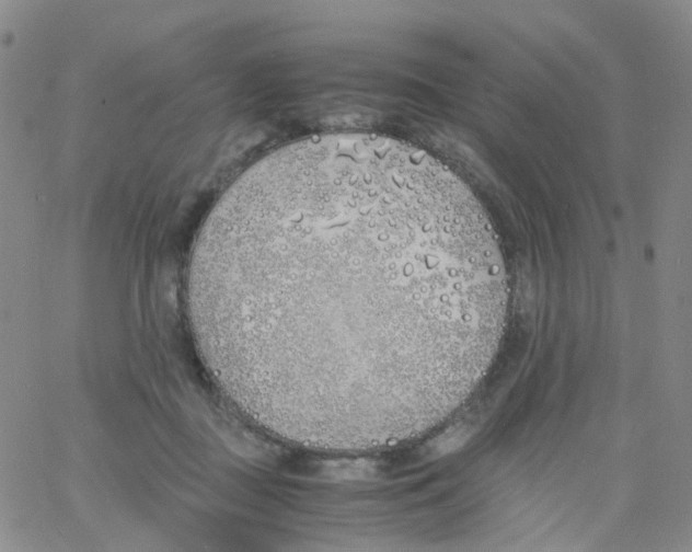 X0000060770363200512082039