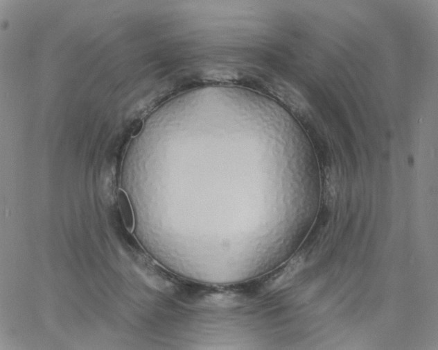 X0000060770364200512082039