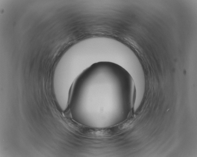 X0000060770365200512082039