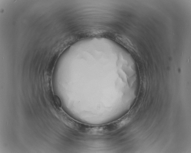 X0000060770366200512082039