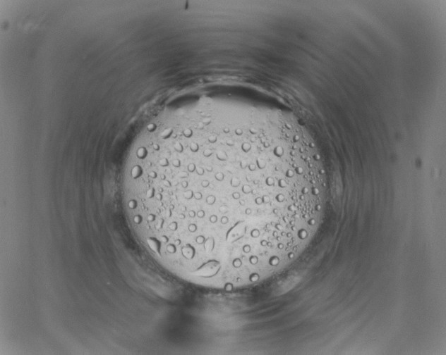 X0000060770367200512082039