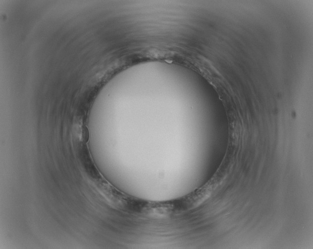 X0000060770368200512082039