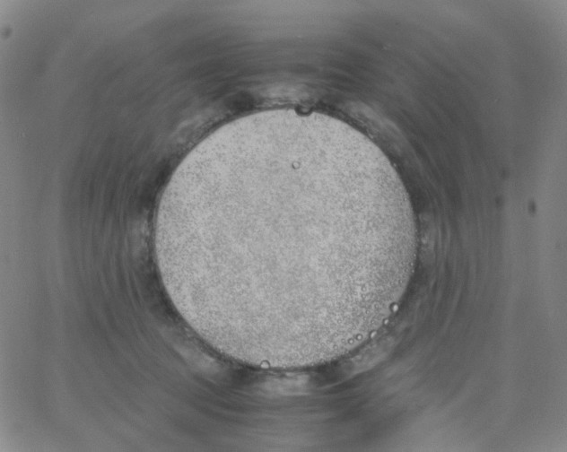 X0000060770369200512082039