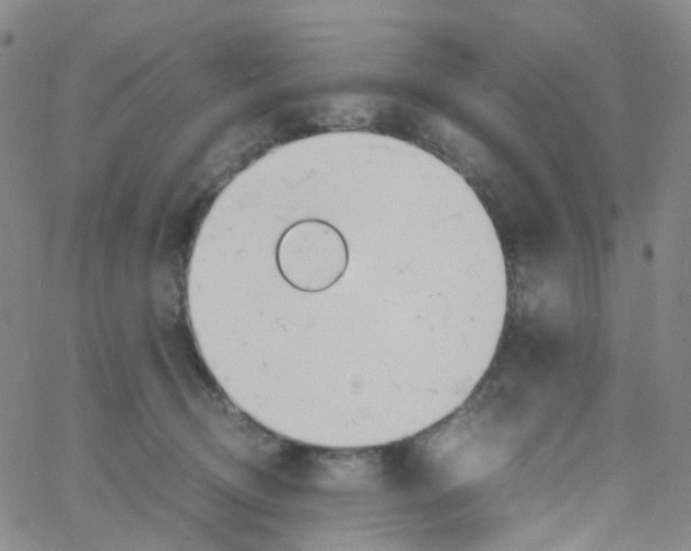 X0000060770370200512082039