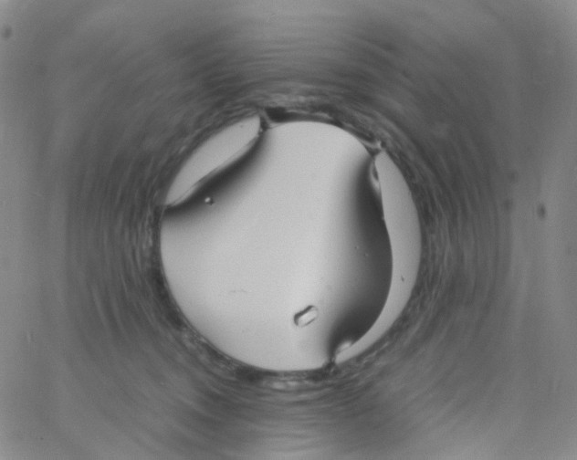 X0000060770372200512082039