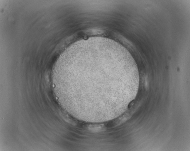 X0000060770373200512082039