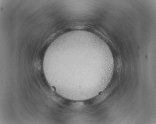 X0000060770374200512082039