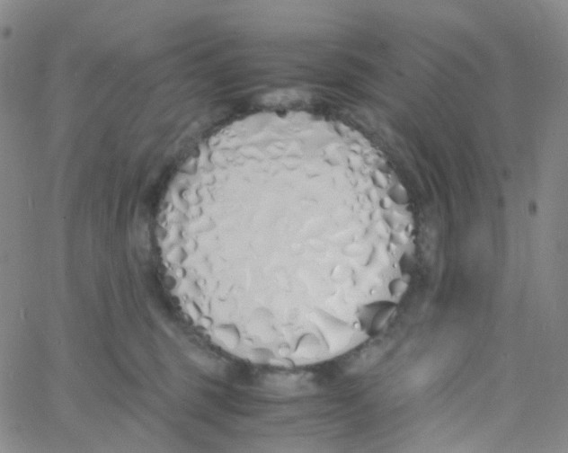 X0000060770375200512082039