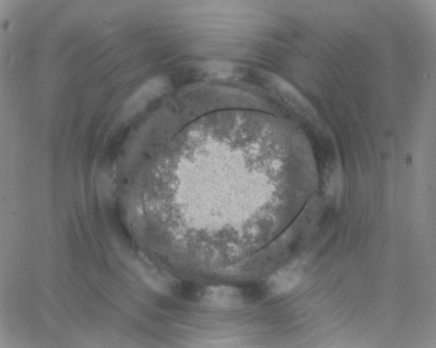 X0000060770376200512082039